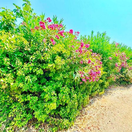 Tetraktys Estate Beachside Υδωρ Ágios Matthaíos Exterior foto