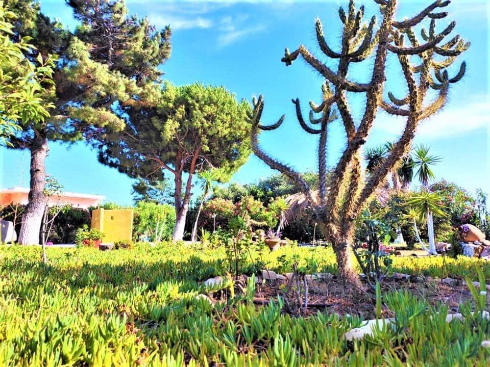 Tetraktys Estate Beachside Υδωρ Ágios Matthaíos Exterior foto