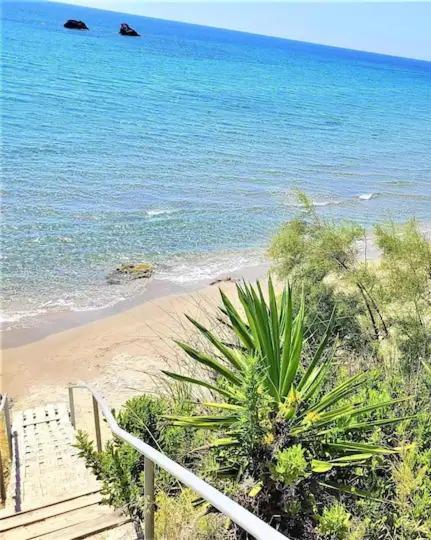 Tetraktys Estate Beachside Υδωρ Ágios Matthaíos Exterior foto